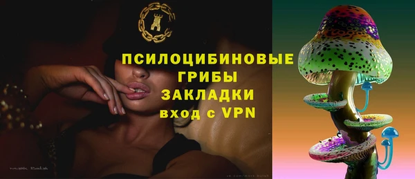 дурь Арсеньев