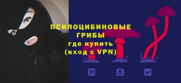 дурь Арсеньев