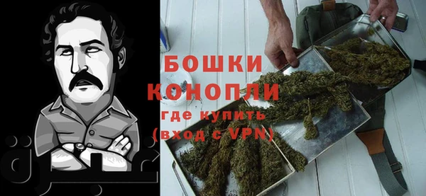 дурь Арсеньев