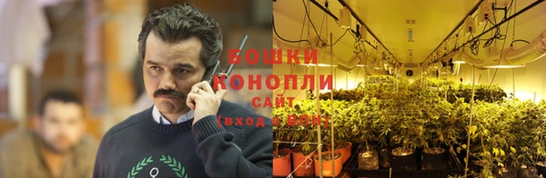 дурь Арсеньев
