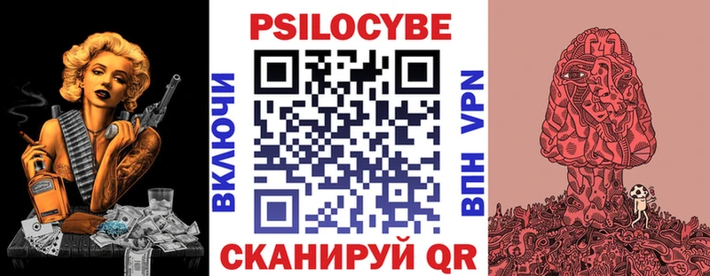 Псилоцибиновые грибы Cubensis  Купить закладки  Волосово 